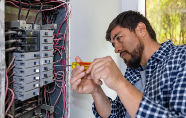 Best Electrician for Home Renovation  in Paulding, OH